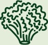Image of Leafy Vegetable