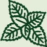 Icon of plant