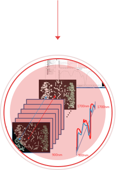 Image of hyperspectral chemical composition analysis data