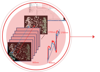 Image of hyperspectral chemical composition analysis data