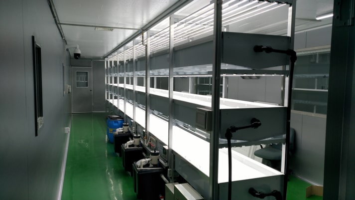 Image of lacks with activating lighting and water supplying system of N vertical farm company