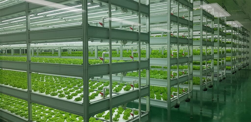 Image of Vertical farm